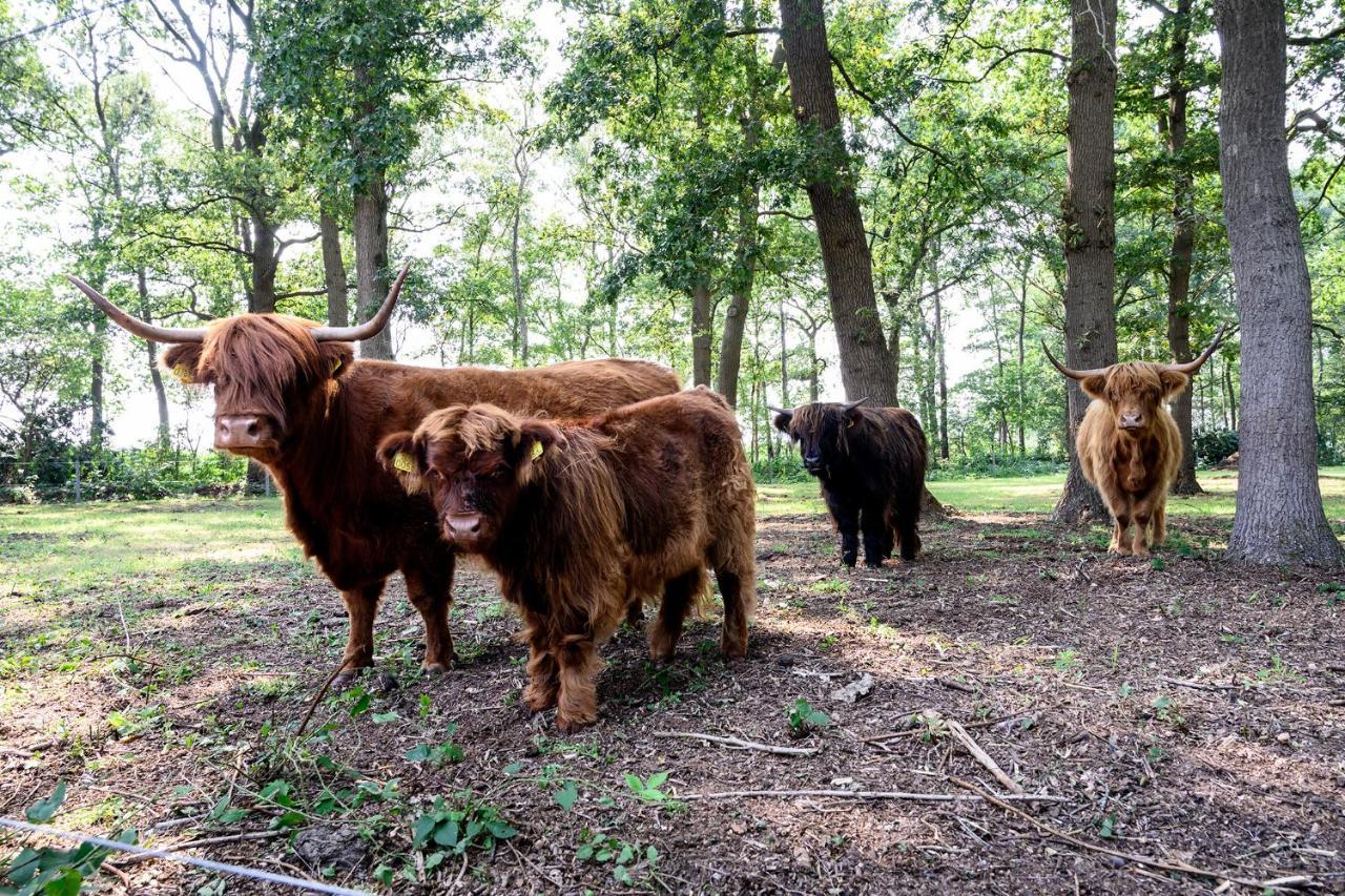 Hotel Glamping Renswoude Esterno foto